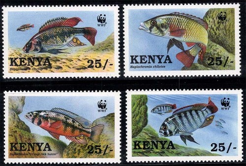 Kenya 1997 699 - kenya, **