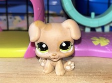 Littlest Petshop Chiot Boxer