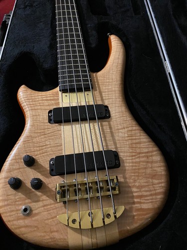 Lefty alembic bass string - alembic,