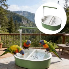 Baignoire pour perroquet gris