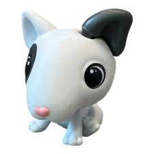 BULL TERRIER DOG 