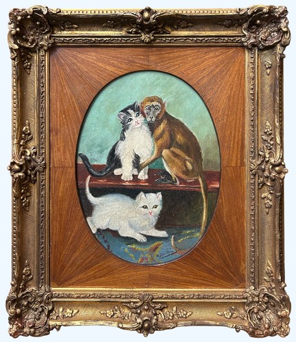 Scene group portraits - group, monkey