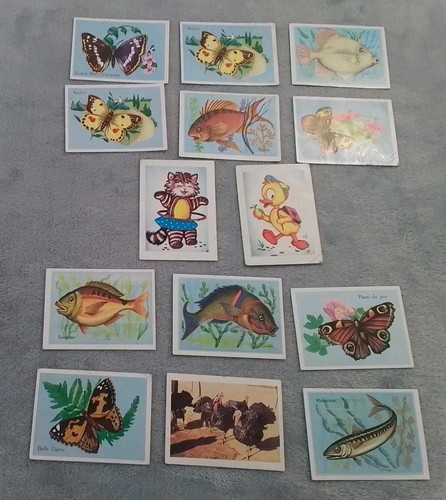 Lot image bon point ecole - lot, 14