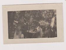 Picnic Photo Card Picnic in the Woods Good Mood Wine Table Food