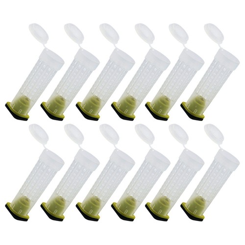 Pcs cages abeilles outil - 40,