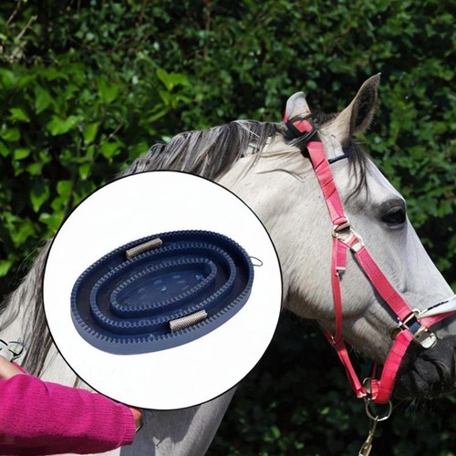 Brosse curry cheval - à,