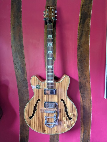 Guitare électrique jazz - électrique,