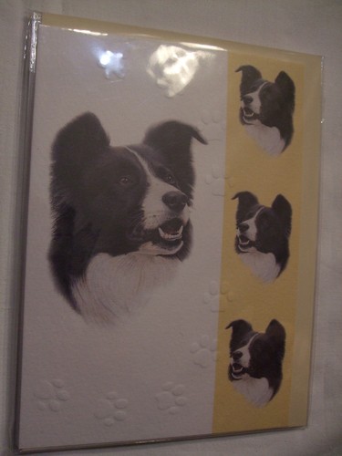 Carte enveloppe chien - -,