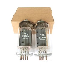 EL519 6KG6 NOS Audio Tubes - Beam Power Tetrode FSG - TESTED - Pair