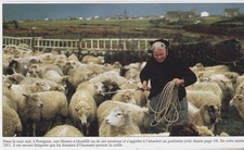 1991 -- OUESSANT WORK OF SHEEP IN PORSGUEN IN 1971 3E120