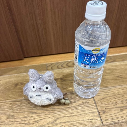Mon voisin totoro peluche - mon,