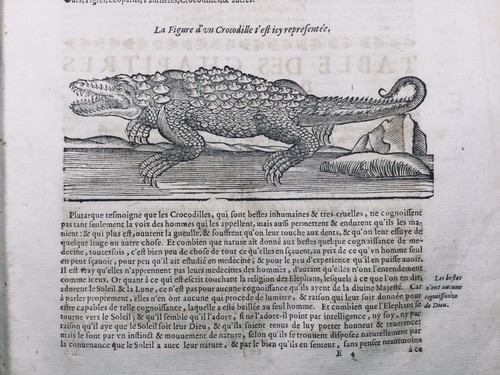 Crocodile 1614 herpétologie - 1614,