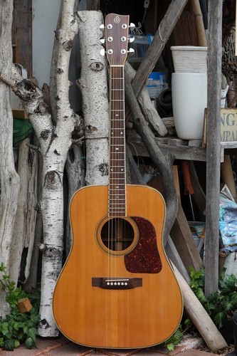 Guitare acoustique takamine - acoustique,