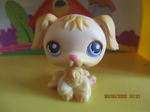 Petshop chien golden - petshop,