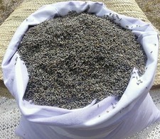 1 KG FLEUR DE LAVANDIN 2024