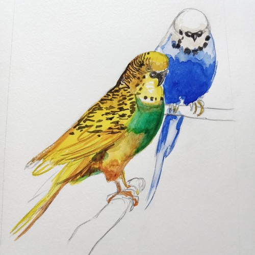 Les oiseaux couple - couple, de