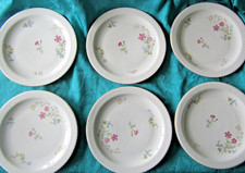 6 assiettes plates en
