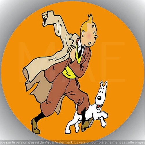 Tintin milou décoration - tintin, .
