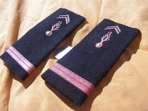 Epaulettes fourreaux gendarme - fourreaux,
