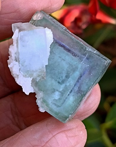 Magnifique cristal fluorite - cristal, de