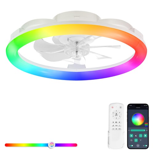 Ventilateur plafond avec lampe - plafond,