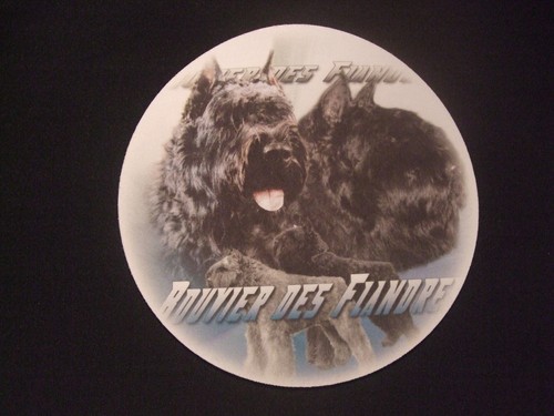 Tapis souris bouvier des - tapis,