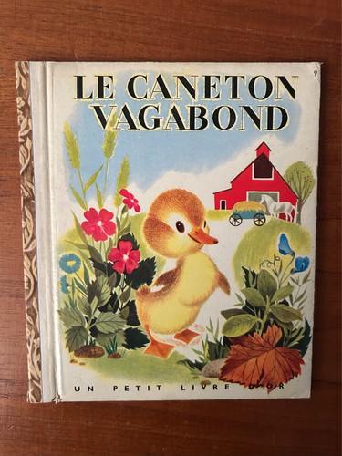 Caneton vagabond petit - le,