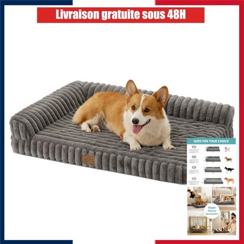 Panier orthopédique chien - orthopédique,