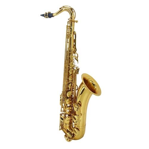 Tenor saxophone complete kit - tenor,
