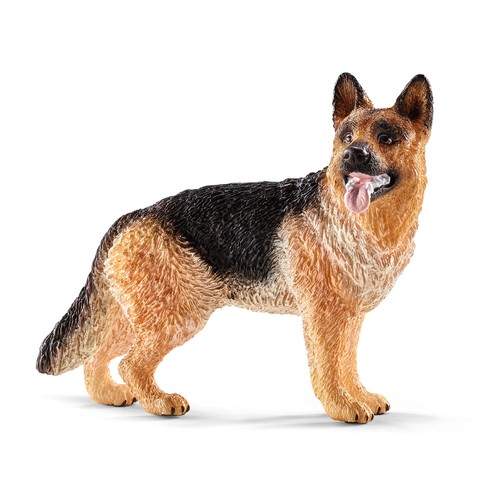 German shepherd - german,