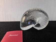 Nautile grand modèle clair en