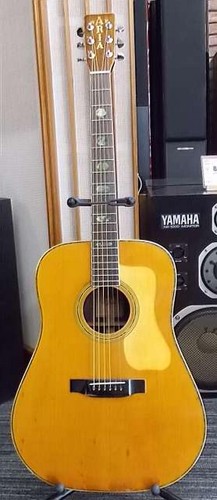 Guitare acoustique aria w30d - guitare,