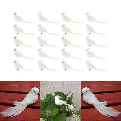 20pcs mousse plumes - mousse,