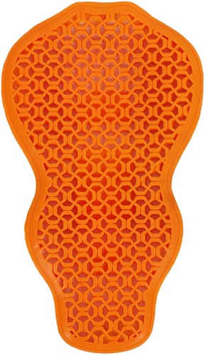 Protection dorsale trilobite - protection,