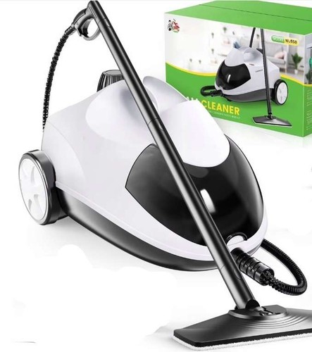Nettoyeur vapeur puissant 2000