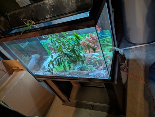 Fishtank