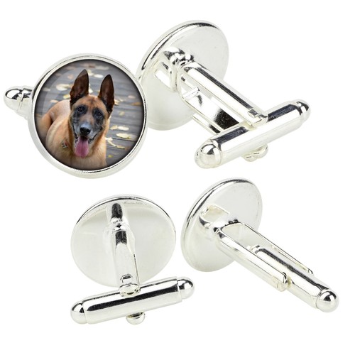 Malinois chien berger belge - chien,