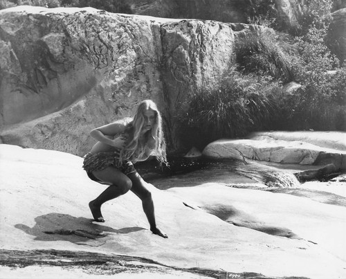 Sinbad margareta thulin - sinbad,