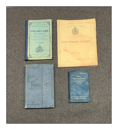 Livres manuel maitre - livres,