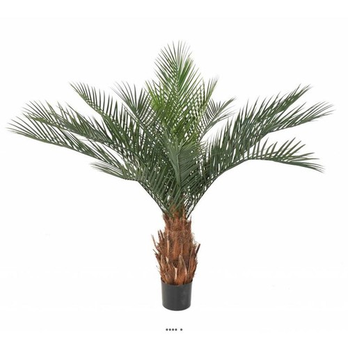 Palmier phoenix artificiel - phoenix,