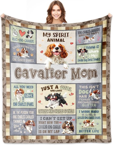 Cavalier king charles spaniel - king,