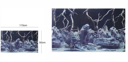Affiche fond pour aquarium - fond,