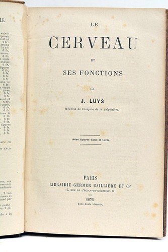 Luys cerveau ses - le,