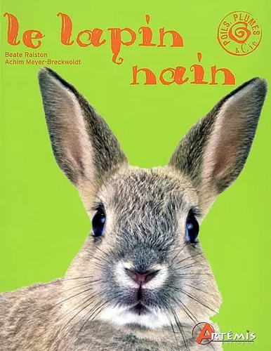 Lapin nain beate ralston - le,