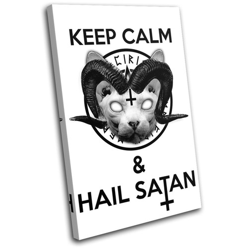 Satan sphynx cat - sphynx, type