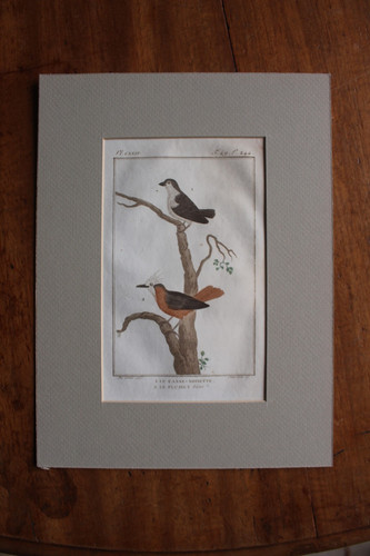 Très rare gravure xviiiè - très,
