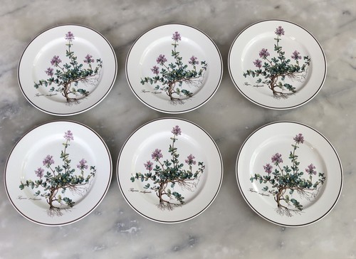 Botanica villeroy boch 6 - boch,