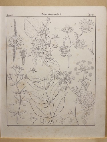 Lithographie ancienne 1833 - ancienne,