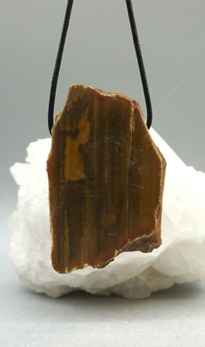 Bois fossilisé grand remorque - bois,