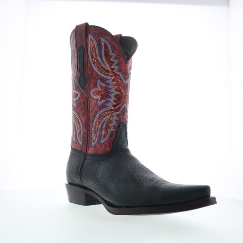 Dingo rio lobo santiague - lobo, pour